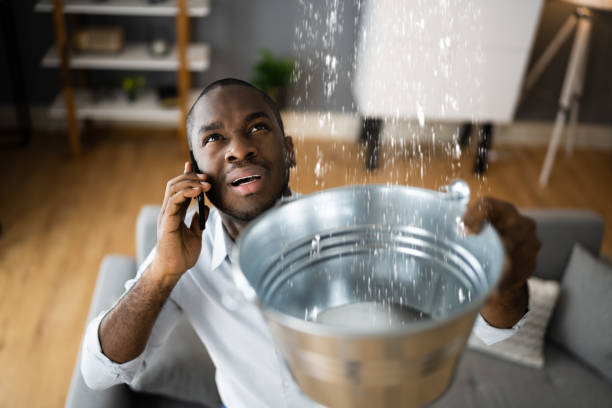 Best Water damage restoration near me  in Scott City, MO