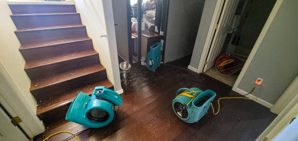 Best Flood damage cleanup  in Scott City, MO