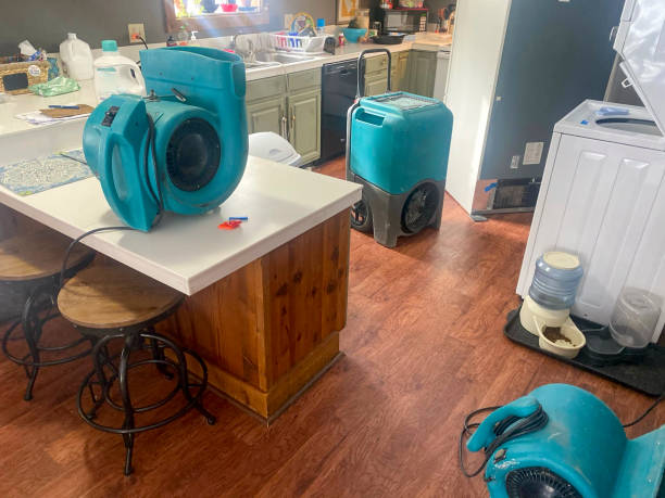 Best 24/7 water damage repair  in Scott City, MO
