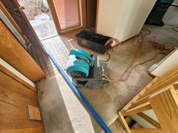 Best Sewage cleanup and water damage restoration  in Scott City, MO