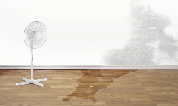 Best Flood restoration services  in Scott City, MO