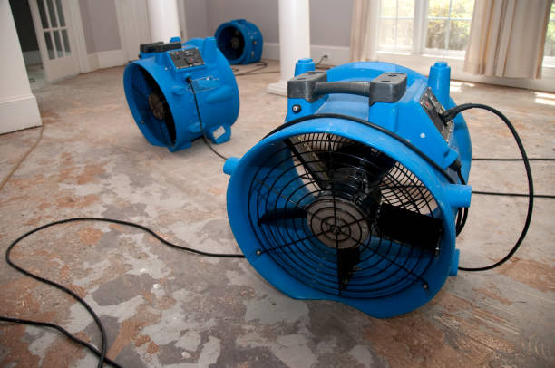  Scott City, MO Water damage restoration Pros