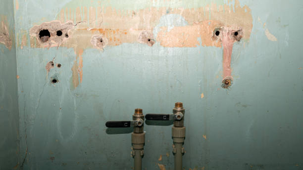 Best Flood damage cleanup  in Scott City, MO
