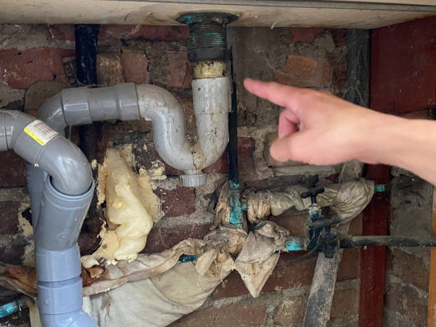 Best Professional water damage repair  in Scott City, MO