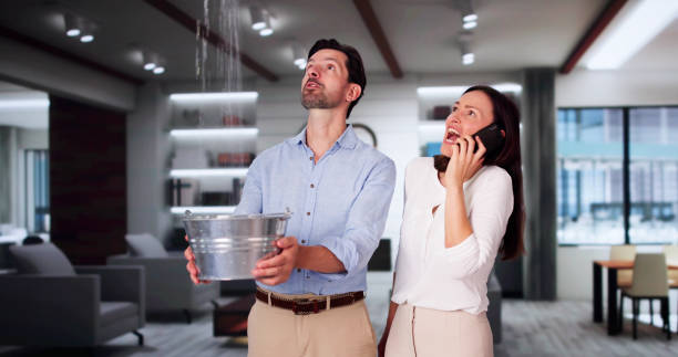 Best Ceiling water damage repair  in Scott City, MO